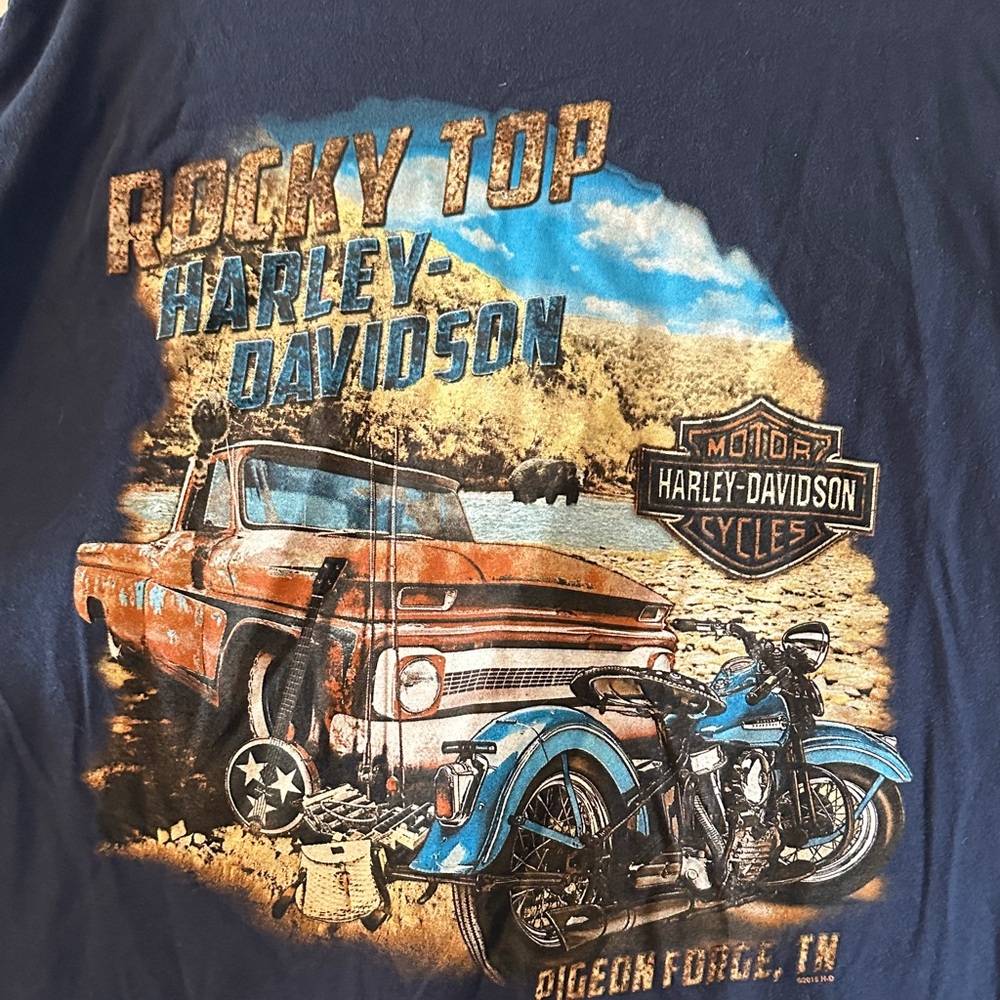 Harley-Davidson Blue and Orange Graphic Tee